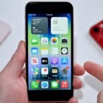 iPhone для экономных: эксперты назвали 3 лучшие модели
